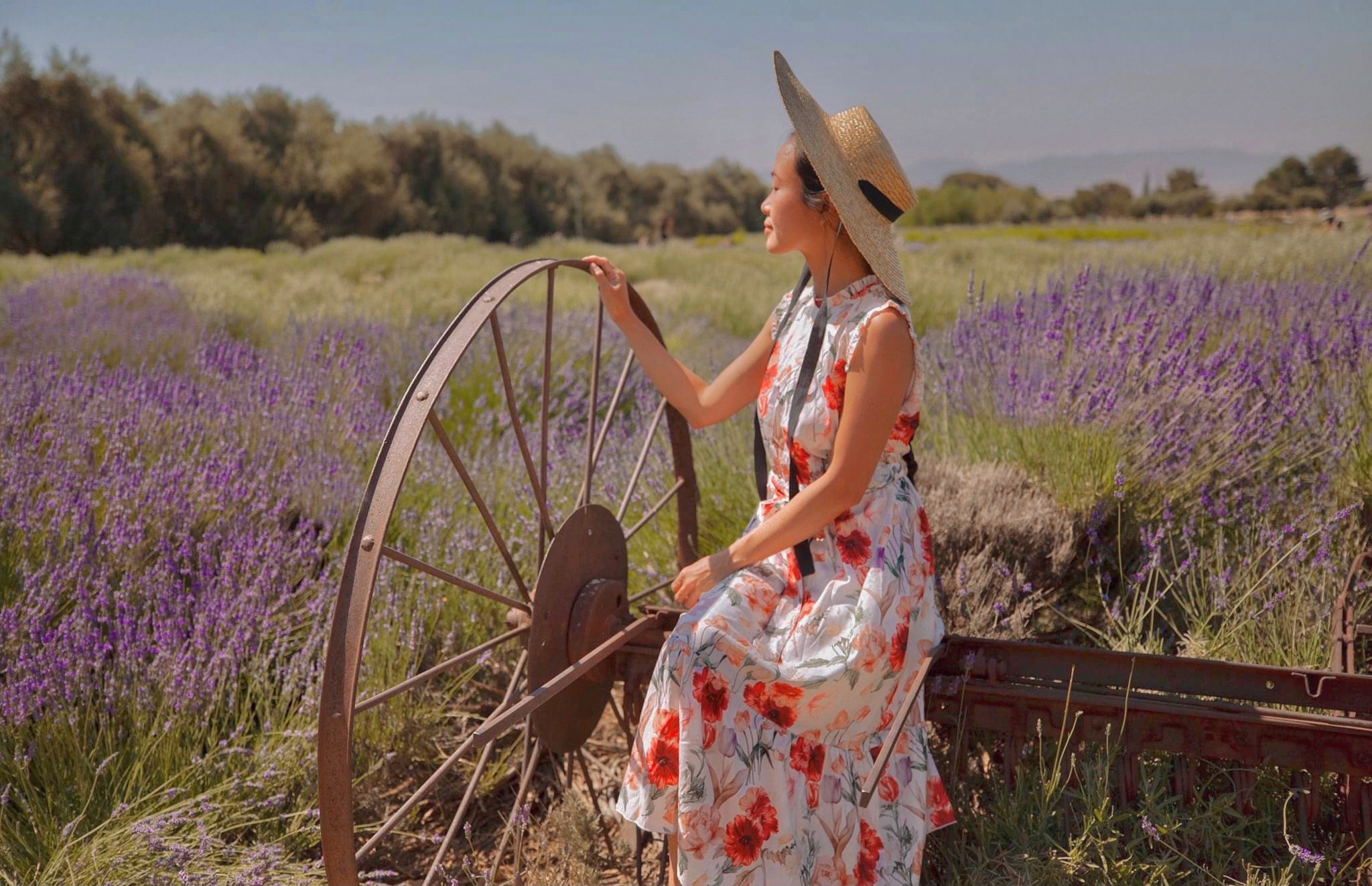 A GUIDE TO THE LAVENDER FESTIVAL BY 123 FARM inAra By May Pham