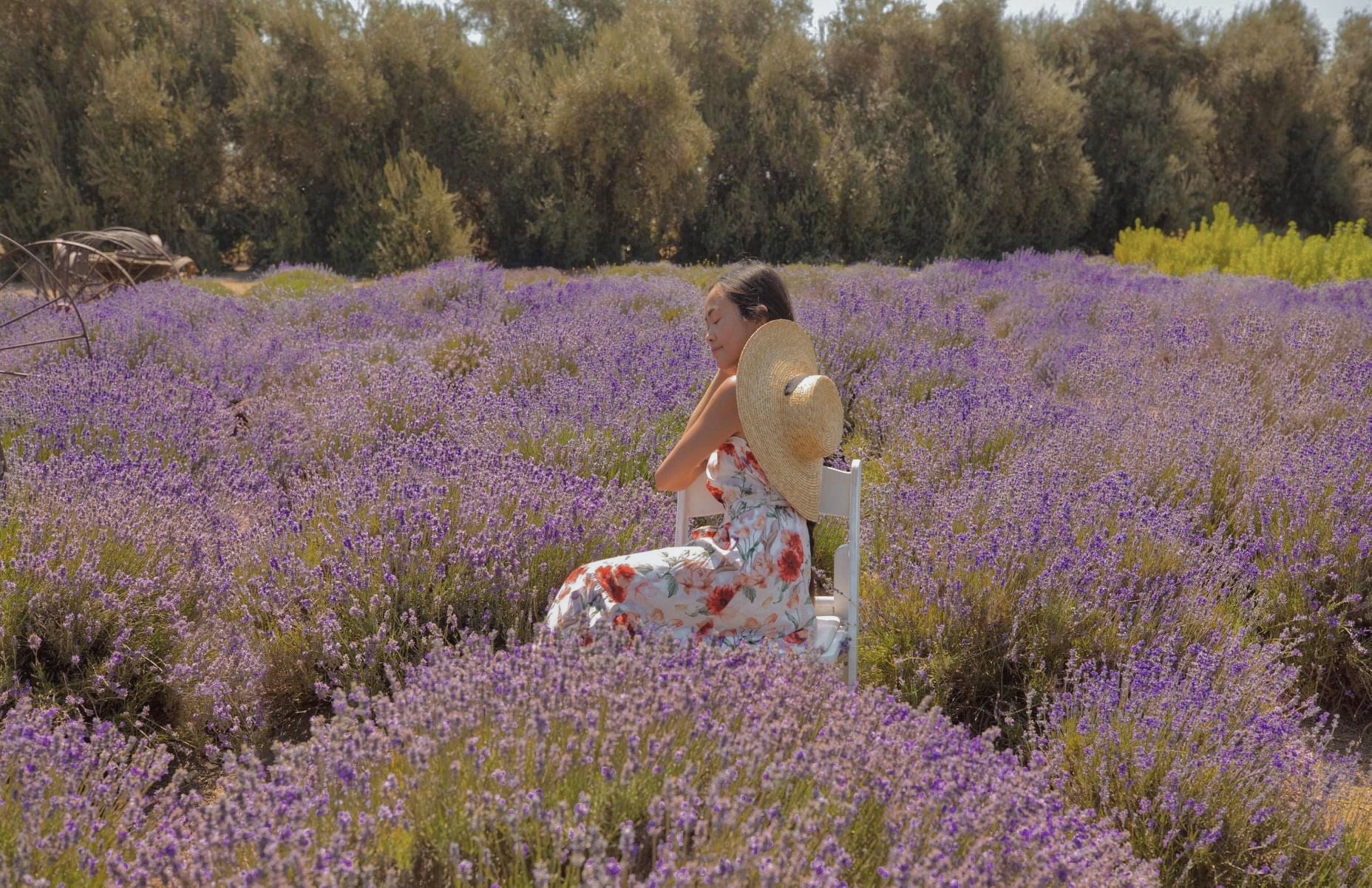 A GUIDE TO THE LAVENDER FESTIVAL BY 123 FARM inAra By May Pham