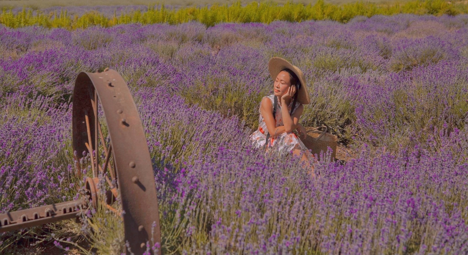 A GUIDE TO THE LAVENDER FESTIVAL BY 123 FARM inAra By May Pham